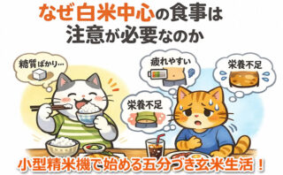 小型精米機で始める五分づき玄米の健康ご飯