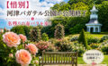 伊豆・河津バガテル公園～2026年9月末を持って閉園、公開中止！