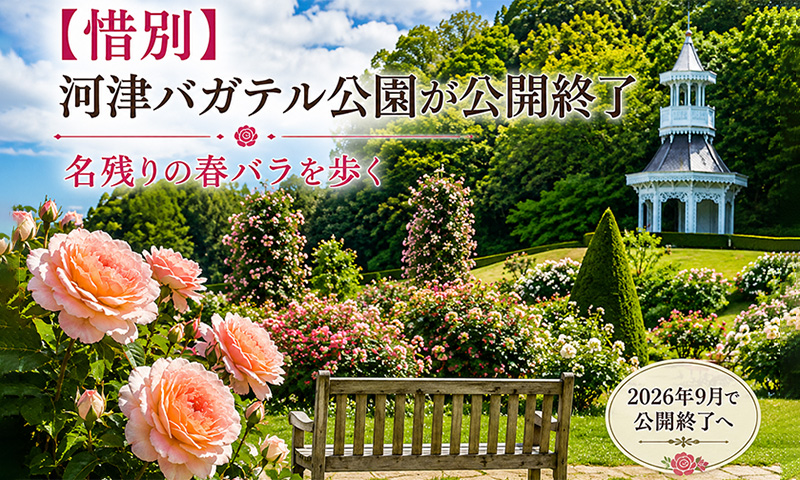 伊豆・河津バガテル公園～2026年9月末を持って閉園、公開中止！
